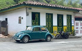 Bosque De Niebla